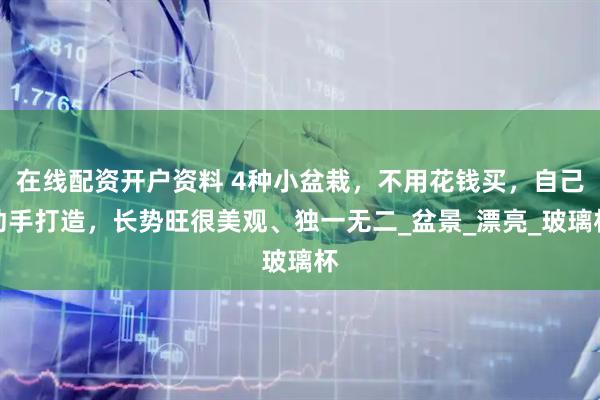 在线配资开户资料 4种小盆栽，不用花钱买，自己动手打造，长势旺很美观、独一无二_盆景_漂亮_玻璃杯
