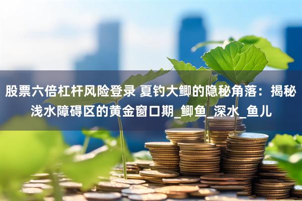 股票六倍杠杆风险登录 夏钓大鲫的隐秘角落：揭秘浅水障碍区的黄金窗口期_鲫鱼_深水_鱼儿