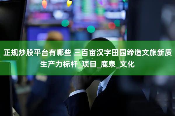 正规炒股平台有哪些 三百亩汉字田园缔造文旅新质生产力标杆_项目_鹿泉_文化