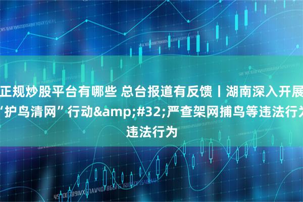 正规炒股平台有哪些 总台报道有反馈丨湖南深入开展“护鸟清网”行动&#32;严查架网捕鸟等违法行为